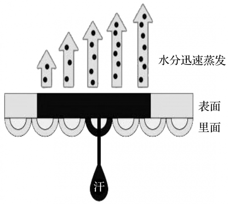 涂層機,定型機,地毯機,地毯背膠機,靜電植絨機