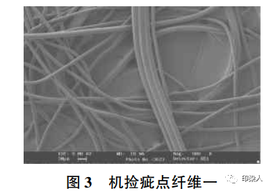 定型機(jī),涂層機(jī),地毯機(jī),地毯背膠機(jī),靜電植絨機(jī)