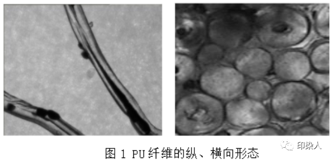 定型機(jī),涂層機(jī),地毯機(jī),地毯背膠機(jī),靜電植絨機(jī)