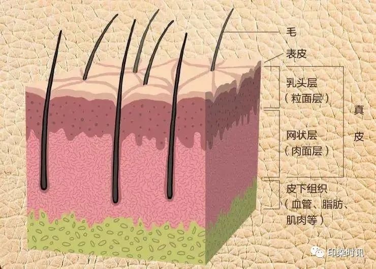 定型機(jī),涂層機(jī),地毯機(jī),地毯背膠機(jī),靜電植絨機(jī)